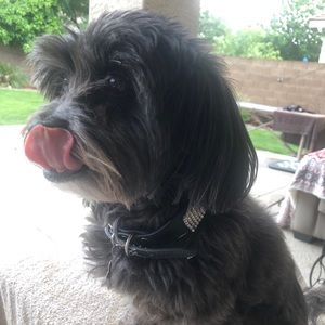 Meet your Posher, Karin